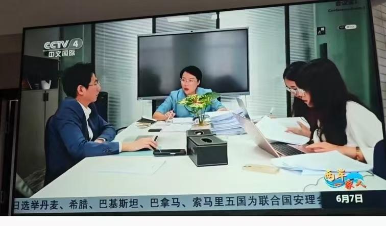 央视中文国际频道(CCTV-4)节目出镜